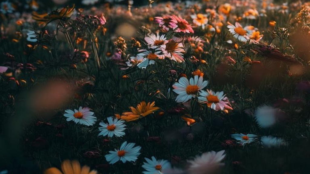 Физические наказания и любовь: где граница?